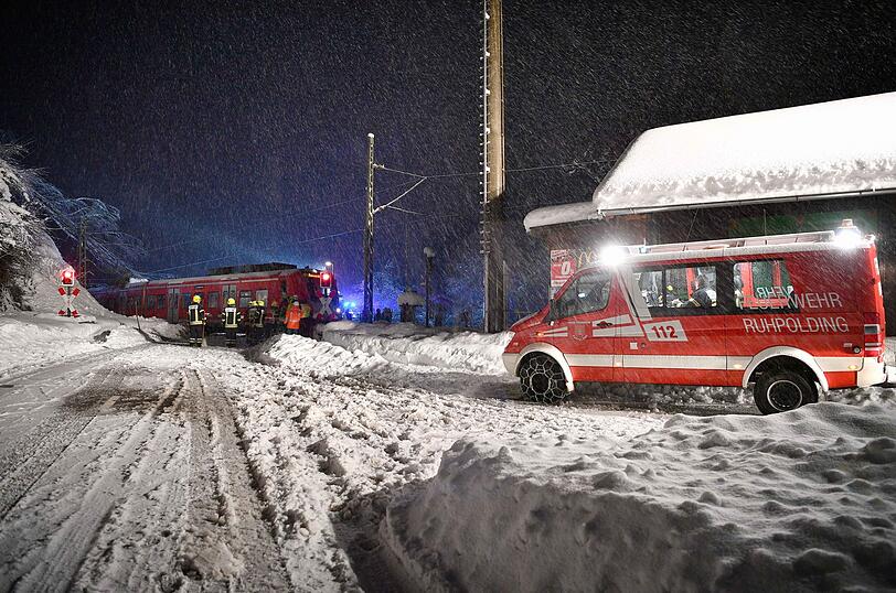 Am Sonntagabend stürzte ein Baum auf einen Zug - die Passagiere hatten Glück im Unglück.