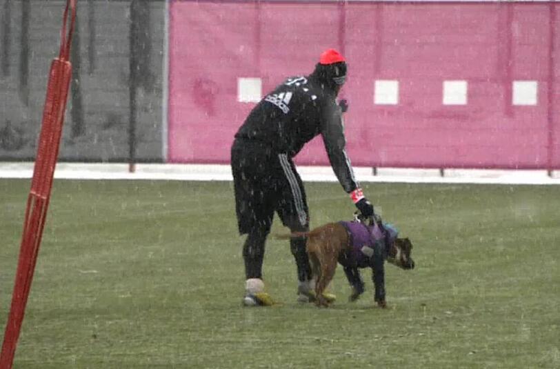 Störenfried beim Abschlusstraining: Bastian Schweinsteiger mit dem Hund, der das Training des FC Bayern störte.