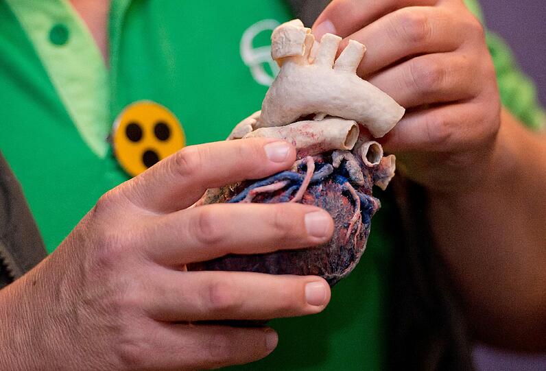 Blinde und Sehbehinderte erfühlen die Plastinate von Gunther von Hagens. Die Bilder.