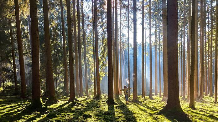 Eine Frau genießt ihre Zeit in der Natur. In Japan wird das Waldbaden sogar ärztlich verschrieben. Dabei erlebt man die Natur mit allen Sinnen, etwa durch das Fühlen von Kiefernzapfen, Moos oder Blättern.