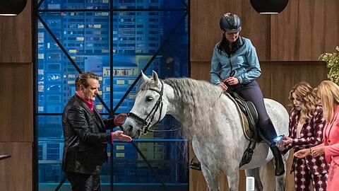Für das Produkt "Lovelstar" holten sich die Gründer tierische Unterstützung ins Studio.