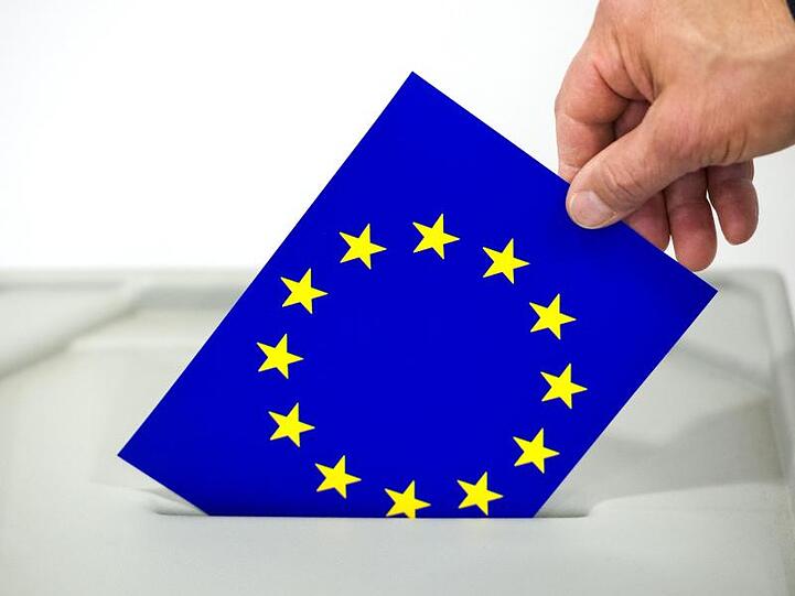 Im Mai wird ein neues EU-Parlament gewählt.