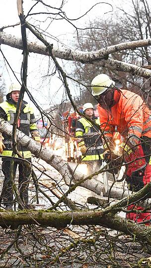 Auf der Rosenheimer Straße kurz vor der Auffahrt auf die A8 stürzten mehrere Bäume auf die Fahrbahn. Die Freiwillige Feuerwehr aus Perlach beseitigte die Hindernisse.