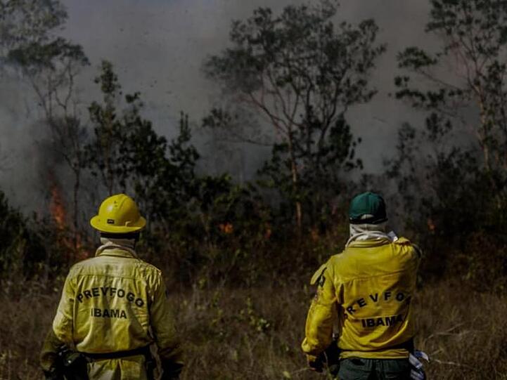 Mitarbeiter des IBAMA, der brasilianischen Umweltbehörde, stehen vor einem Brand in der Region Manicoré im Amazonasgebiet.