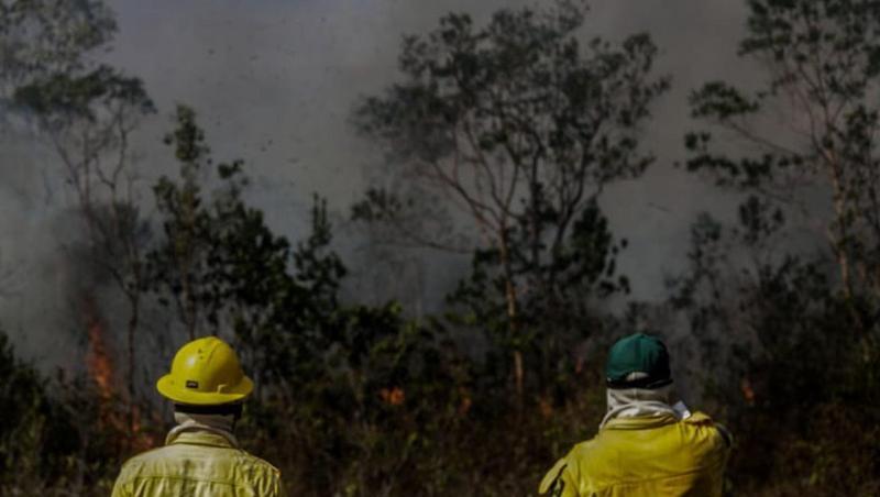 Mitarbeiter des IBAMA, der brasilianischen Umweltbehörde, stehen vor einem Brand in der Region Manicoré im Amazonasgebiet. Mitarbeiter des IBAMA, der brasilianischen Umweltbehörde, stehen vor einem Brand in der Region Manicoré im Amazonasgebiet.