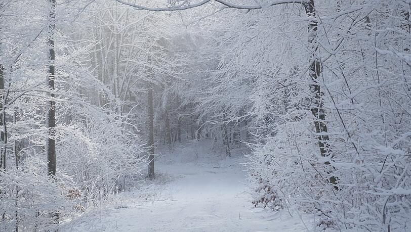 Fürs Winterwandern sollten Ausflügler auf die richtige Ausrüstung setzen.