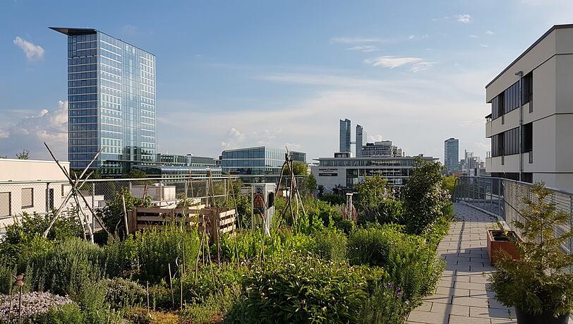 170 Quadratmeter Dachterrasse zum Sitzen und Ratschen, 220 Quadratmeter Garten, in dem die Bewohner Blumen und Gemüse pflanzen und viel Photovoltaik: So sieht es auf dem Dach der Genossenschaft Wogeno in der Schwabinger Fritz-Winter-Straße aus. 170 Quadratmeter Dachterrasse zum Sitzen und Ratschen, 220 Quadratmeter Garten, in dem die Bewohner Blumen und Gemüse pflanzen und viel Photovoltaik: So sieht es auf dem Dach der Genossenschaft Wogeno in der Schwabinger Fritz-Winter-Straße aus.