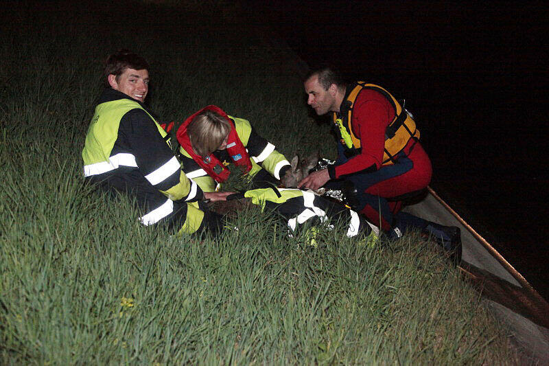 Feuerwehr und Wasserwacht retteten die Rehe aus dem wWsser und brachten sie zum Aufwärmen in eine Scheune.