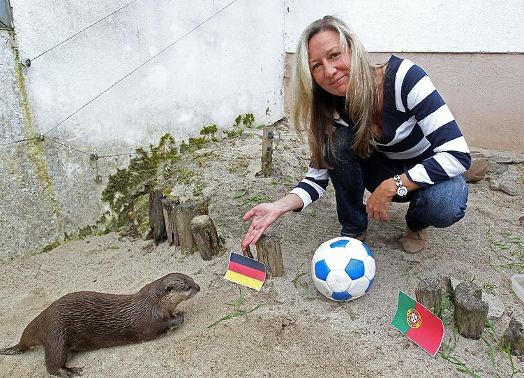 In Sachsen ruhen alle Hoffnungen auf den Ottern Mörmel und Ferret aus Aue. "Sie sind quirlig und unparteiisch, weil sie nicht aus Europa, sondern aus Südostasien stammen", sagt Tierpark-Chef Christian Schroller.