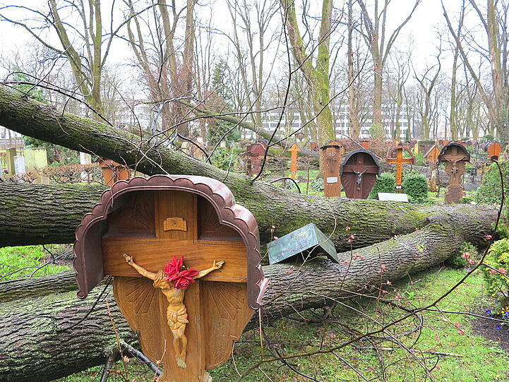 Weitere Aufnahmen vom Ostfriedhof.