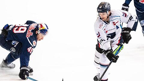 Mark Voakes von München (l) und Jeremy Williams von Straubing im Zweikampf um den Puck.