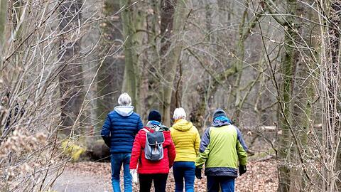 Spaziergänger sind in einem Wald im Naturschutzgebiet Riddagshausen unterwegs.