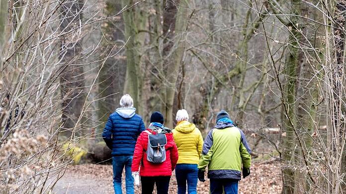 Spaziergänger sind in einem Wald im Naturschutzgebiet Riddagshausen unterwegs.