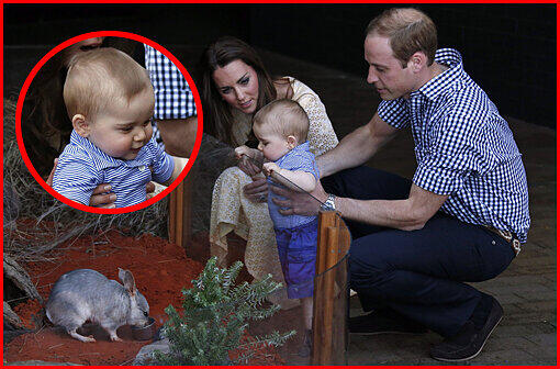 Süßer Osterausflug für Baby George und seine Royalen Eltern! Sehen Sie in unserer Klickstrecke weitere Bilder vom Treffen mit dem australischen Osterhasen.