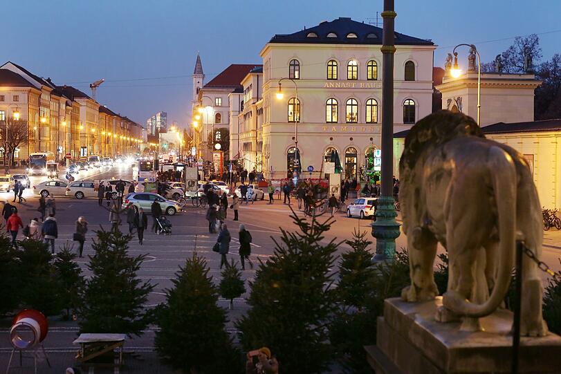 Christbäume vor den Feldherrn-Löwen &ndash; zentraler geht&rsquo;s kaum.