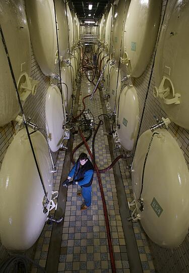 Einer der historischen Keller der Brauerei in Pilsen