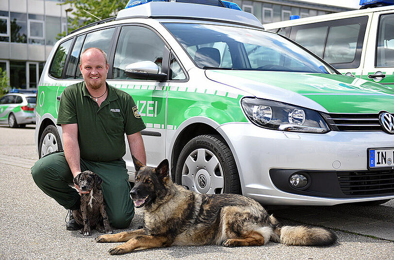 Amy, Personensuchhund in Ausbildung, mit Sprengstoffsuchhund Antrax und Herrchen Polizeihauptmeister Christian Schricker.