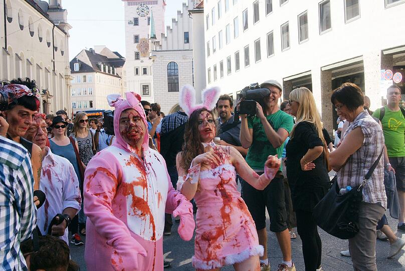 Die neue Staffel von "The Walking Dead" startet demnächst wieder bei FOX. Fans dieser Thriller- Reihe aus aller Welt feiern das auf sehr spekakuläre Art und Weise: Mit einem Zombiewalk. Übel zugerichtet und mit Kunstblut übersät erschrecken gut 700 Fans die Münchner am Karlsplatz Stachus. Die schrägsten Bilder.