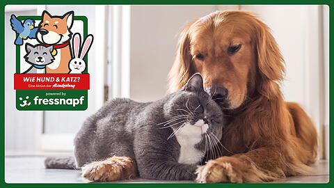 Lassen Sie uns ein Bild einer tierischen Freundschaft zukommen und mit etwas Glück gewinnen Sie tolle Preise von Fressnapf.