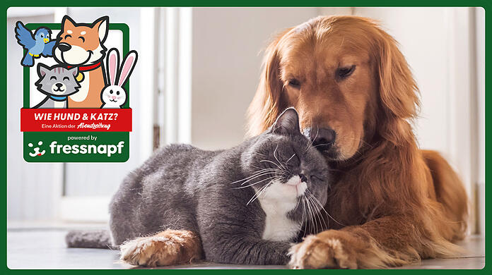 Lassen Sie uns ein Bild einer tierischen Freundschaft zukommen und mit etwas Glück gewinnen Sie tolle Preise von Fressnapf.