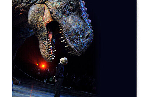 Der kleine Forscher und der große Tyrannosaurus.