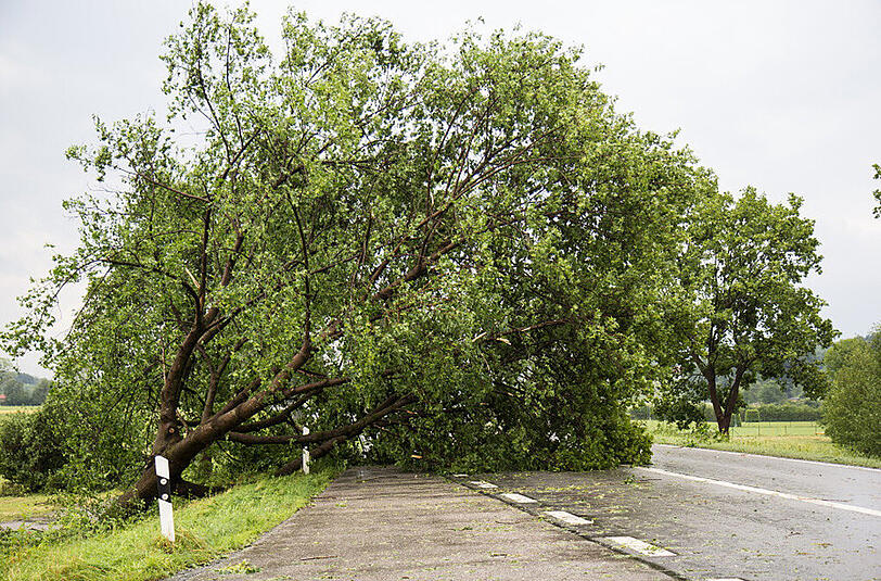 Schwere Unwetter im Berchtesgadener Land sorgten am Samstag für reichlich Chaos auf den Straßen. Die Bilder.