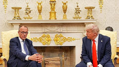 Der Umgang mit der AfD war laut Bundeskanzler Merz kein Thema zwischen ihm und US-Präsident Trump.