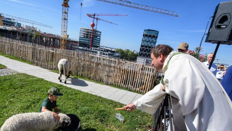 Pfarrer Rainer Maria Schießler füttert während seiner Bergmesse auf dem Hochausdach des Werks 3 am Ostbahnhof ein Lamm. Pfarrer Rainer Maria Schießler füttert während seiner Bergmesse auf dem Hochausdach des Werks 3 am Ostbahnhof ein Lamm.