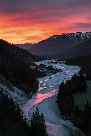 Nach der Einmündung des Rißbaches hat die Isar bei Hochwasser genug Kraft, um die ursprüngliche Wildflusslandschaft offen zu halten und seltenen Arten einen Lebensraum zu bieten.