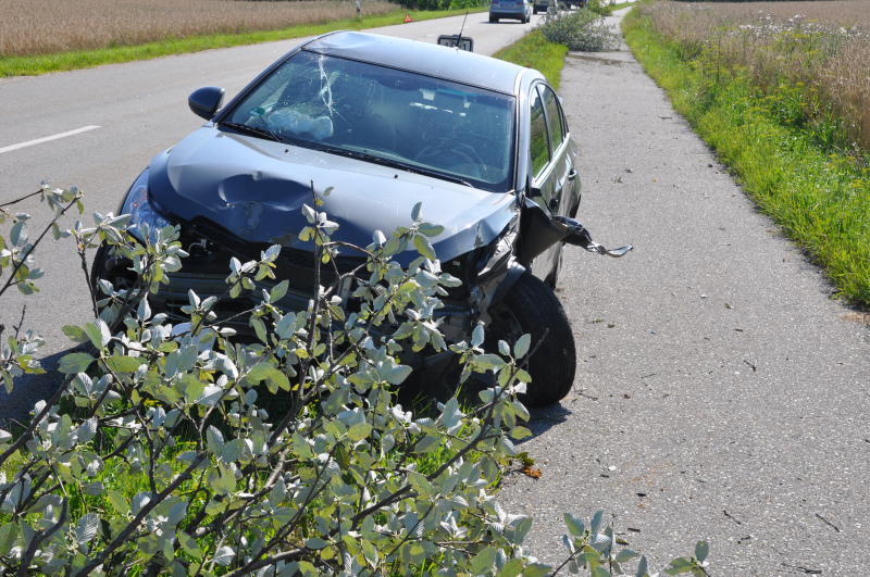 Auf dem gegenüberliegenden Grünstreifen würde der Fahrer von drei Jungbäumen gebremst.