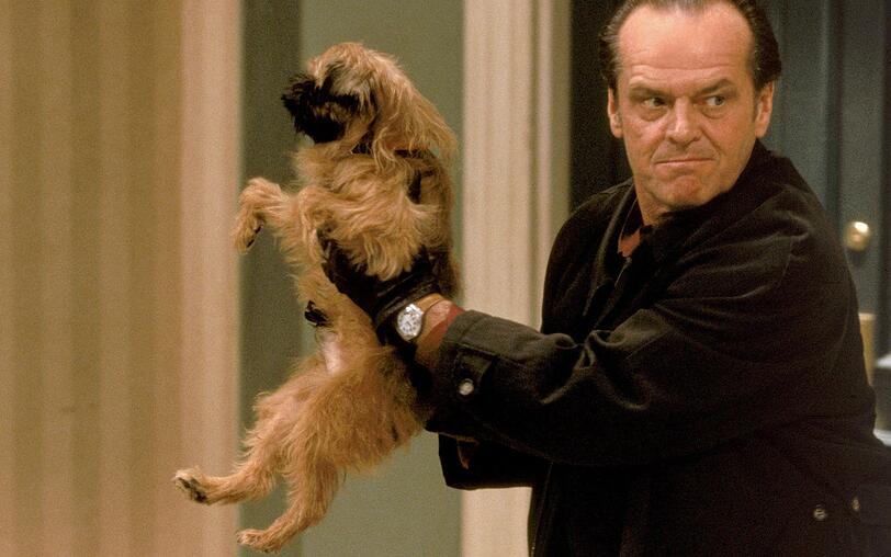Ein Pinscher erschüttert Melvins (Jack Nicholson) Sauberkeitswahn in seinen Grundfesten. Ein Pinscher erschüttert Melvins (Jack Nicholson) Sauberkeitswahn in seinen Grundfesten.