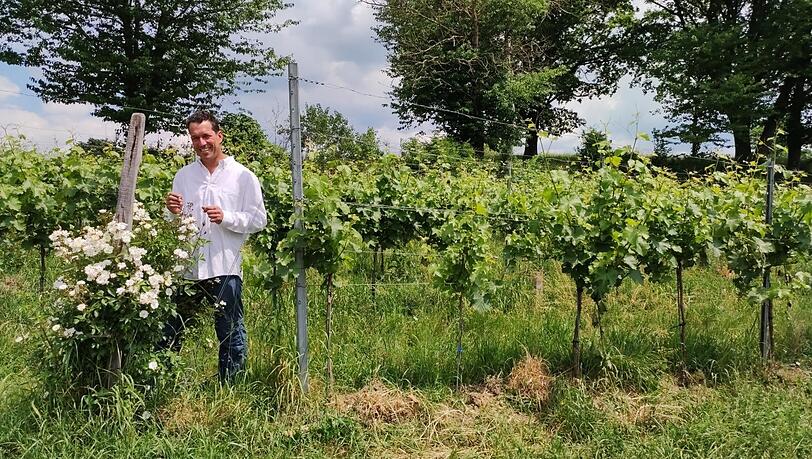 Uli Ernst ist Weinbauer. Die Rosen neben den Reben sind für ihn ein Frühwarnsystem, um Pilzbefall möglichst schnell zu erkennen. Denn der zeigt sich an den Rosenblättern früher als bei den Reben. Uli Ernst ist Weinbauer. Die Rosen neben den Reben sind für ihn ein Frühwarnsystem, um Pilzbefall möglichst schnell zu erkennen. Denn der zeigt sich an den Rosenblättern früher als bei den Reben.