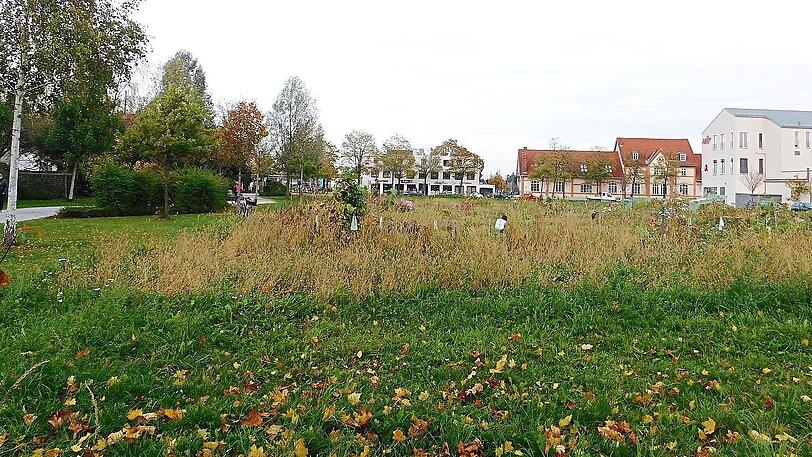 Auf diesem Areal soll ein Sozialbürgerhaus entstehen.