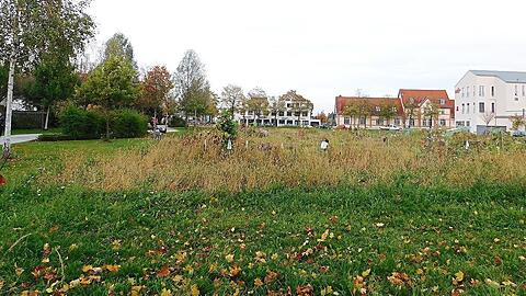 Auf diesem Areal soll ein Sozialbürgerhaus entstehen.