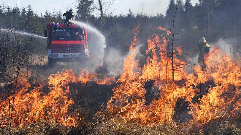 ...Spaziergänger hatten die Flammen bemerkt. Die Feuerwehr konnte die Brände löschen.
