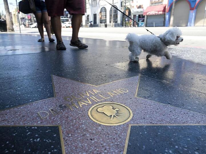 Schauspielerin Olivia de Havilland hat auf dem Hollywood Walk of Fame einen Stern.