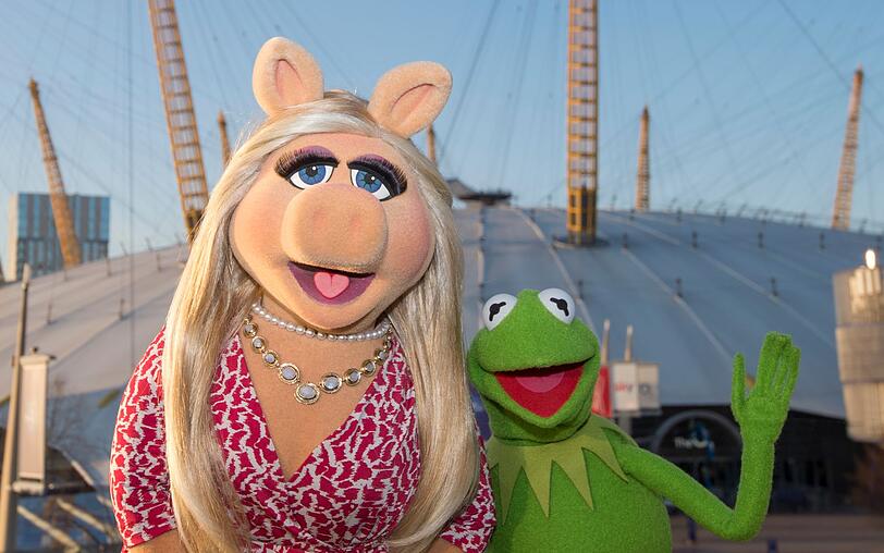 Und wenn wir gerade bei Stars sind: Auch Kermit der Frosch ist Linkshänder. Woran das liegt? Die meisten Puppenspieler sind Rechtshänder und bedienen daher mit ihrer Rechten den Körper. Bleibt die Linke für die Hand. Und wenn wir gerade bei Stars sind: Auch Kermit der Frosch ist Linkshänder. Woran das liegt? Die meisten Puppenspieler sind Rechtshänder und bedienen daher mit ihrer Rechten den Körper. Bleibt die Linke für die Hand.