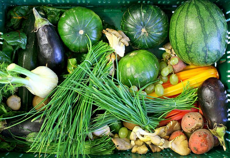 Wirkt sich der Verzicht auf Fleisch positiv auf die Umwelt aus? Eine neue Studie schafft Klarheit.