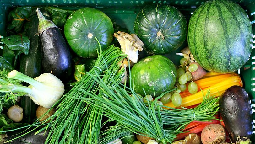 Wirkt sich der Verzicht auf Fleisch positiv auf die Umwelt aus? Eine neue Studie schafft Klarheit. Wirkt sich der Verzicht auf Fleisch positiv auf die Umwelt aus? Eine neue Studie schafft Klarheit.