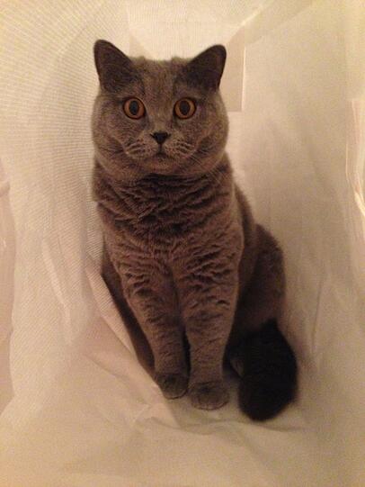 Herr Casper