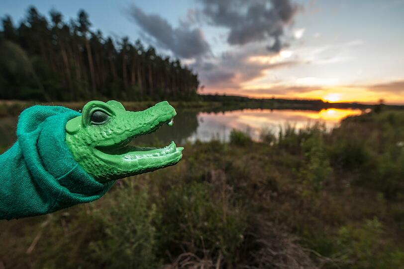 Im AZ-Gespräch: Krokodil Klausi nimmt am Klausensee Stellung.