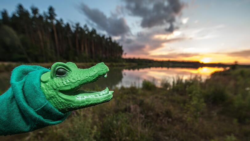 Im AZ-Gespräch: Krokodil Klausi nimmt am Klausensee Stellung. Im AZ-Gespräch: Krokodil Klausi nimmt am Klausensee Stellung.
