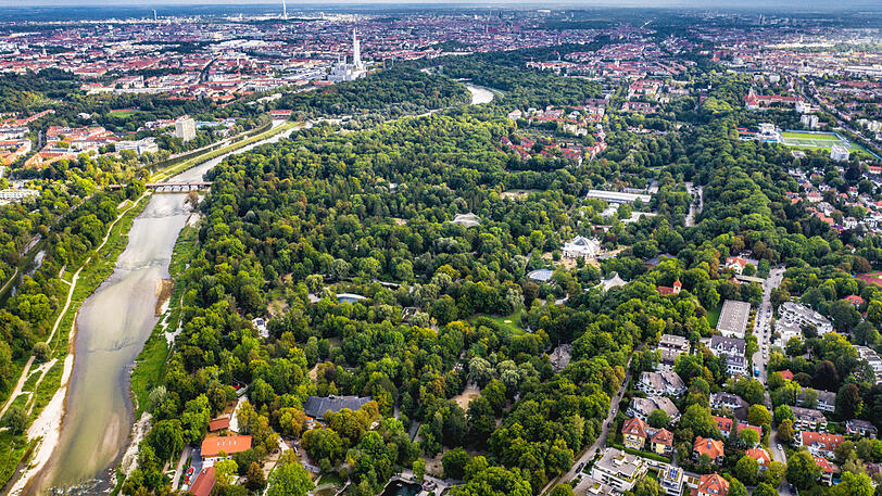72 Eschen müssen im Tierpark Hellabrunn gefällt werden.