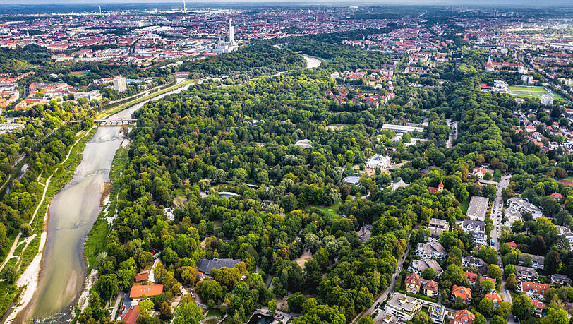 72 Eschen müssen im Tierpark Hellabrunn gefällt werden.