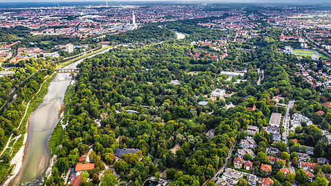 72 Eschen müssen im Tierpark Hellabrunn gefällt werden.
