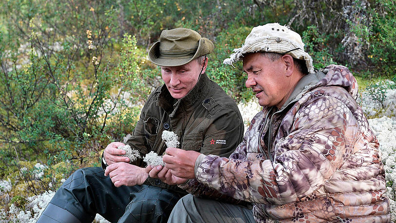 "Schau mal, eine Baumflechte". Putin und sein Verteidigungsminister.