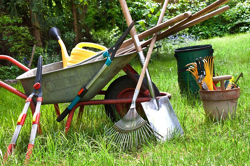 Bevor Schaufel, Gartenschere und Rasenmäher für den Winter im Schuppen verschwinden, lohnt sich ein kritischer Blick: Sind alle Geräte noch einsatzbereit? Klemmt, rostet oder fehlt womöglich etwas? Jetzt ist die beste Gelegenheit, um Reparaturen vorzunehmen oder für Ersatz zu sorgen. Im Frühjahr wird es im Garten wieder hektisch - wer dann nicht vollständig ausgerüstet ist, verliert wertvolle Zeit. Bevor Schaufel, Gartenschere und Rasenmäher für den Winter im Schuppen verschwinden, lohnt sich ein kritischer Blick: Sind alle Geräte noch einsatzbereit? Klemmt, rostet oder fehlt womöglich etwas? Jetzt ist die beste Gelegenheit, um Reparaturen vorzunehmen oder für Ersatz zu sorgen. Im Frühjahr wird es im Garten wieder hektisch - wer dann nicht vollständig ausgerüstet ist, verliert wertvolle Zeit.