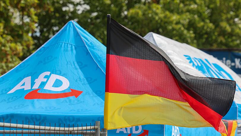 In Umfragen klar vorn: die AfD in Sachsen-Anhalt.