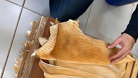 Die Polizei hat mehr als 1,5 Tonnen Haiflossen beschlagnahmt.