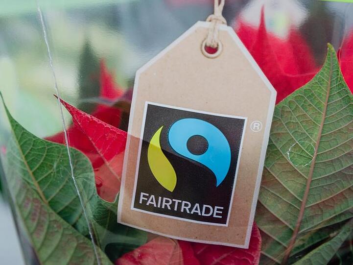 Verbraucher in Deutschland haben 2019 im Schnitt 25 Euro für Produkte mit "Fairtrade"-Siegel ausgegeben.